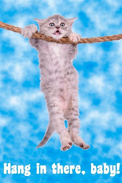 Hang in there, Baby .